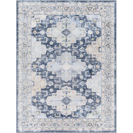 Livabliss Lavadora LVR-2347 Machine Washable Area Rug LVR2347-679